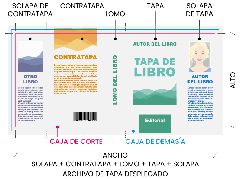Planilla para el archivo de tapa desplegado 1 Livriz
